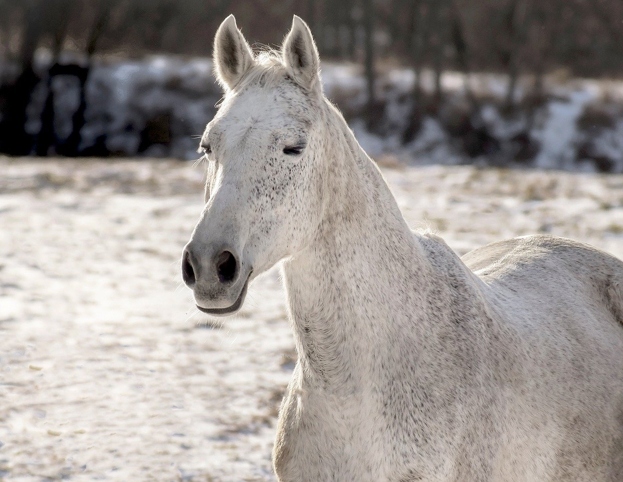 국내 당일치기여행