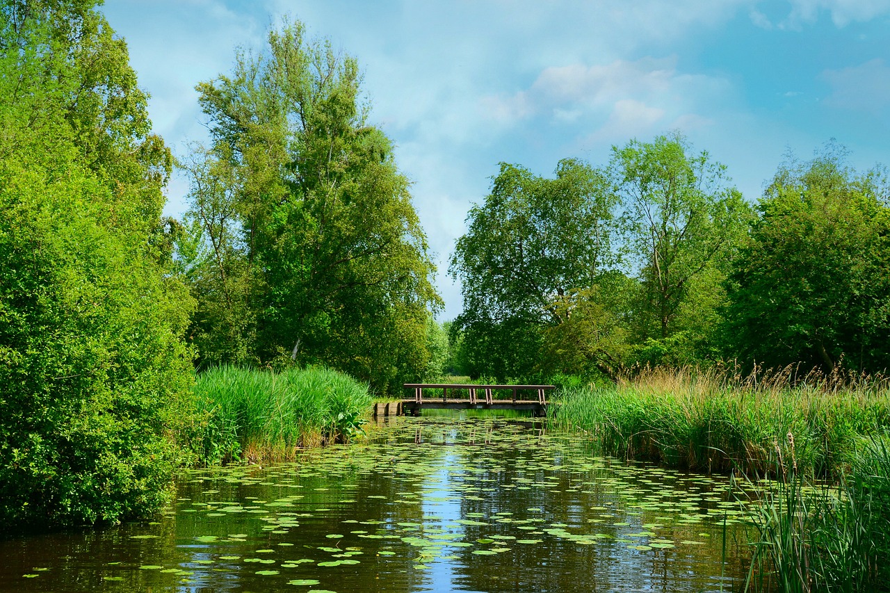 초등 패드학습지