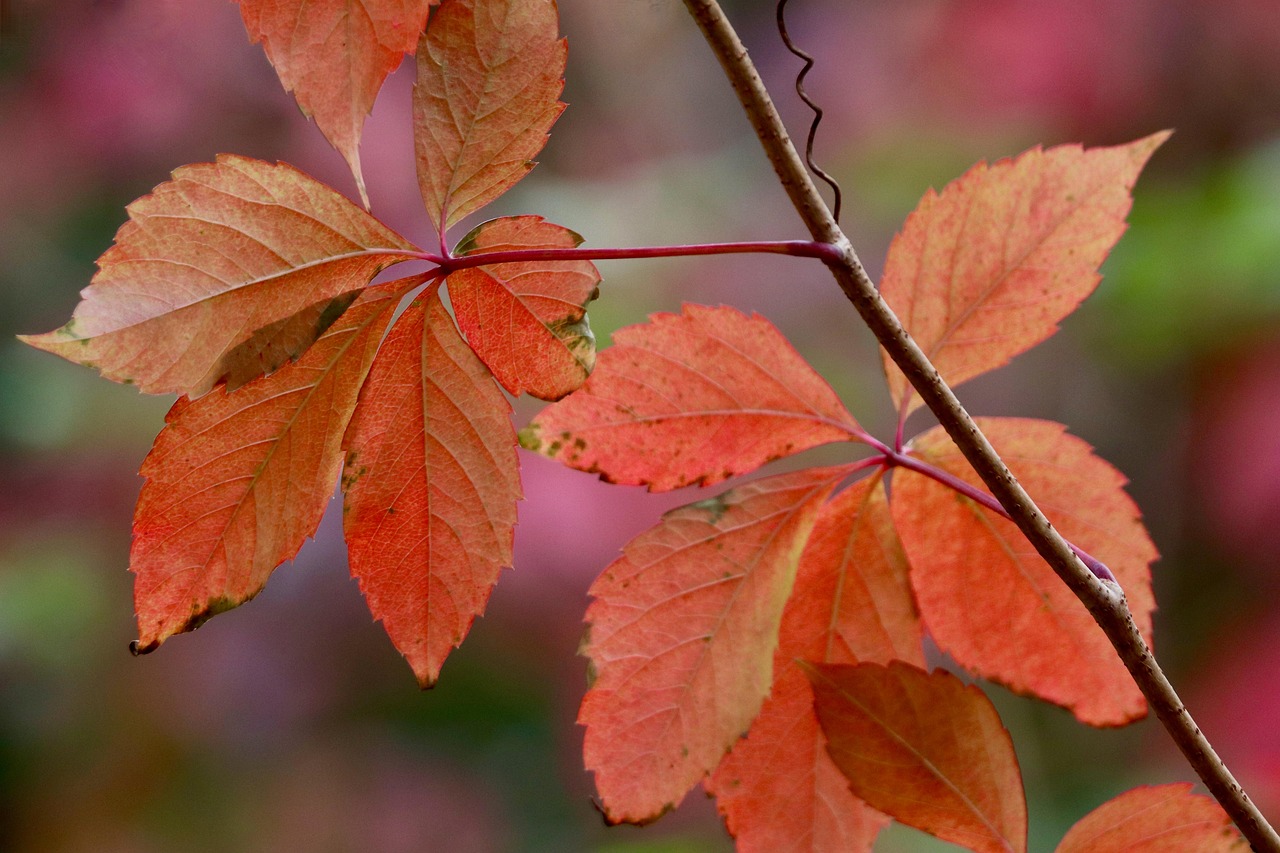 해외여행지 순위